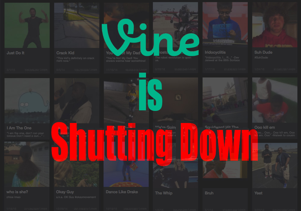 vine-is-shutting-down